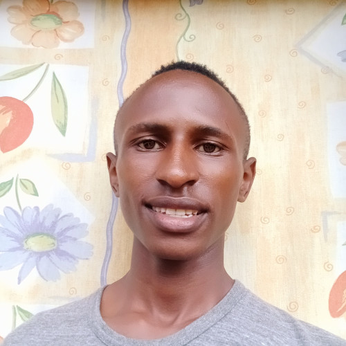 Dennis M. profile photo