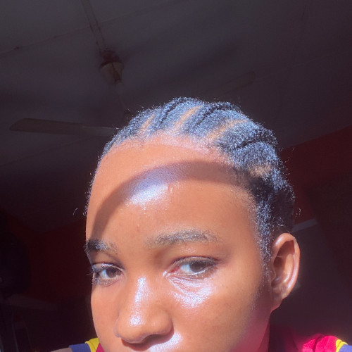 Zire  C.
