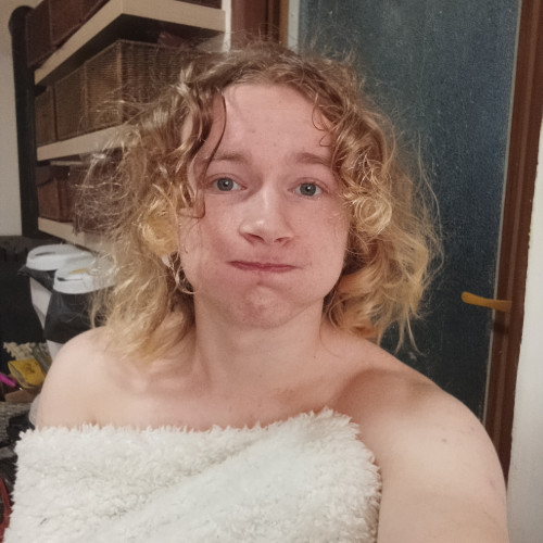 David T. profile photo