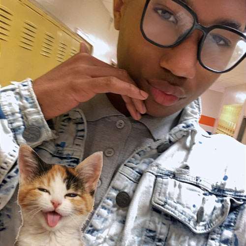 Chris P. profile photo