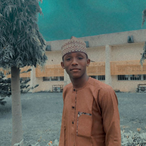Ibrahim Z. profile photo