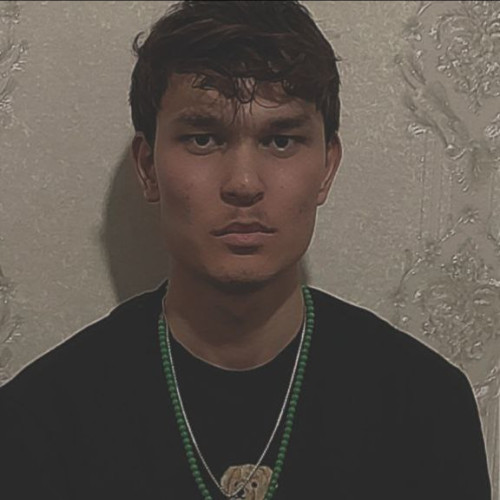 Ali H. profile photo