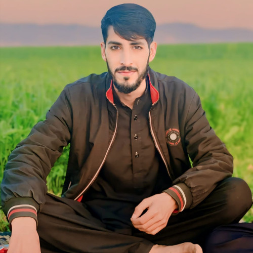 saddaqat z. profile photo