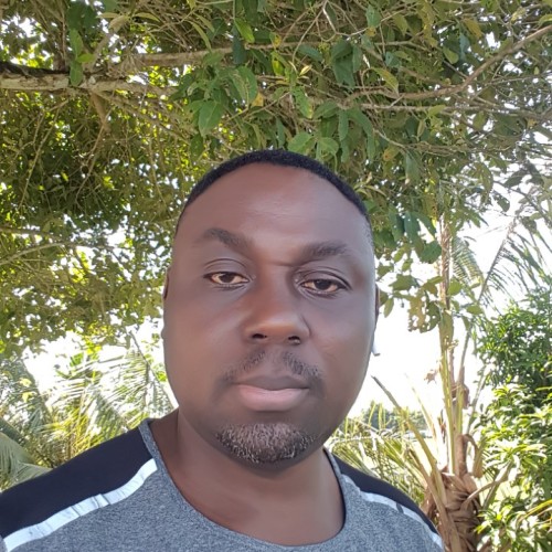 Stephen D. profile photo