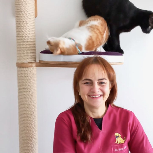 GIsela  B. profile photo