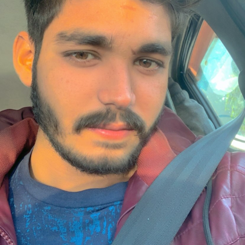 Lokendra  S. profile photo