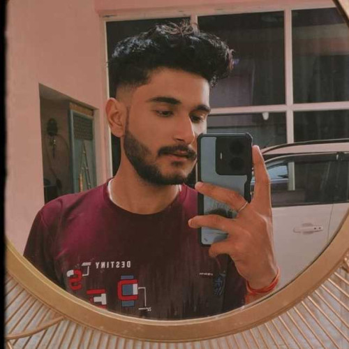 priyansh s. profile photo