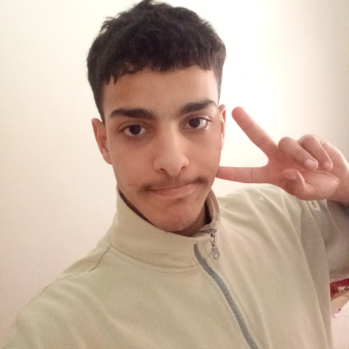 Amine A. profile photo