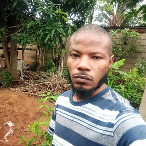 Ladan B. profile photo