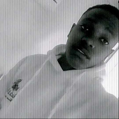 Bruce N. profile photo