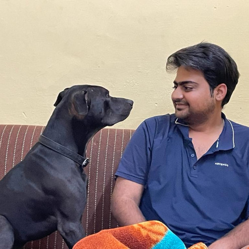 Rajesh Y. profile photo