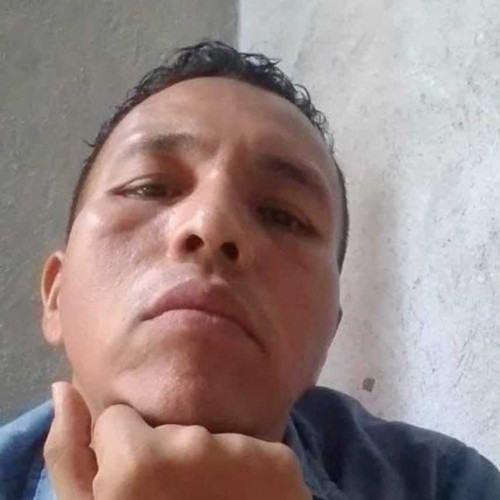 soni H. profile photo