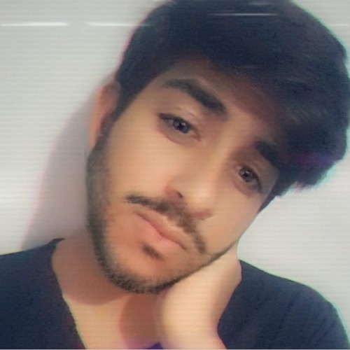 Hamza S.