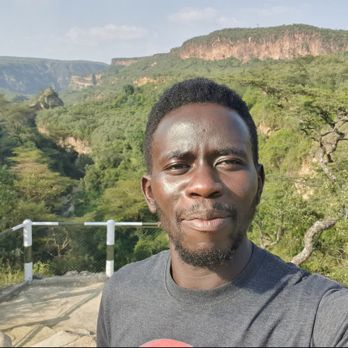 wisely a. profile photo