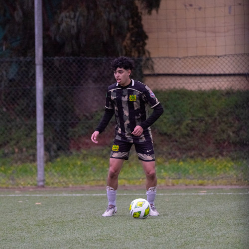 Alaa A.