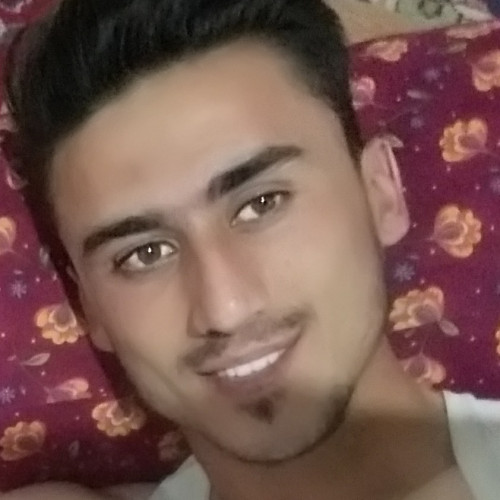 Mehran D. profile photo