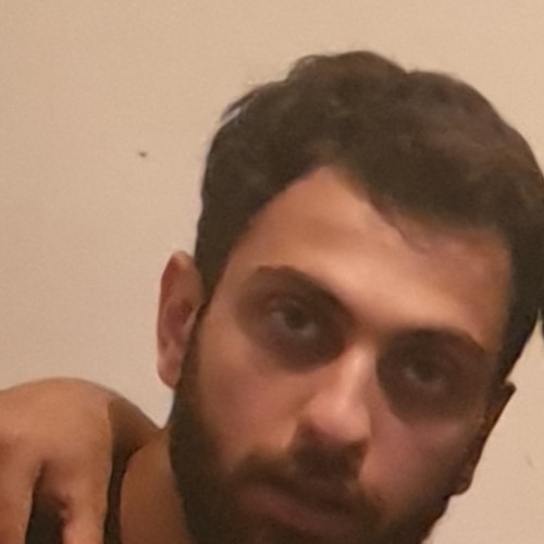Wissam H.