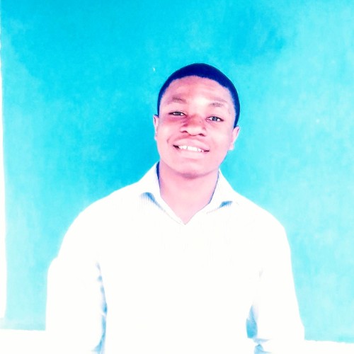 Ikechukwu  I. profile photo