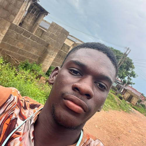 Adeyemi O. profile photo