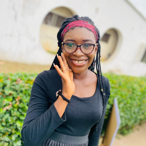 Anuoluwapo A. profile photo
