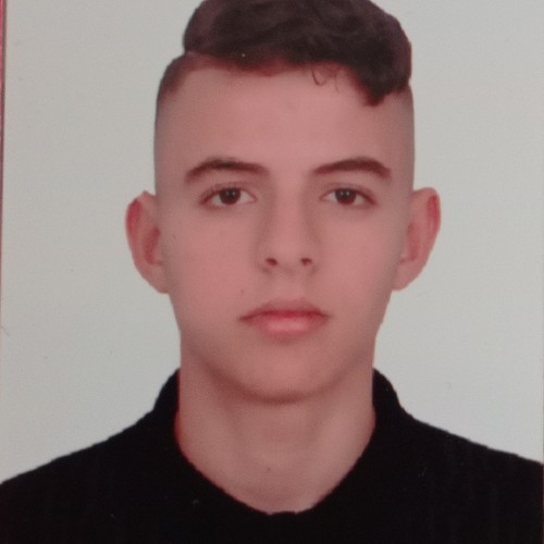 AZZEDDINE E. profile photo