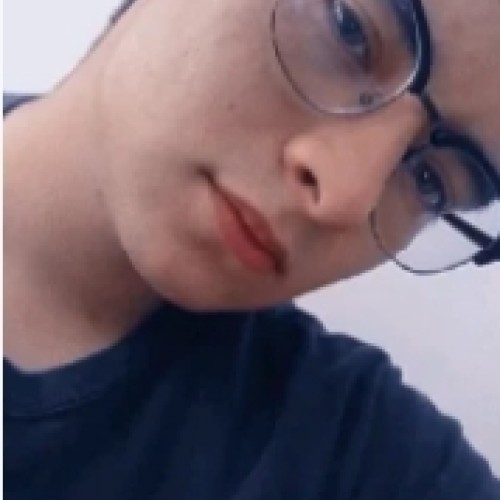 Luis D. profile photo