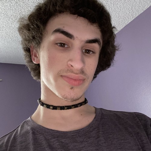 Daniel L. profile photo