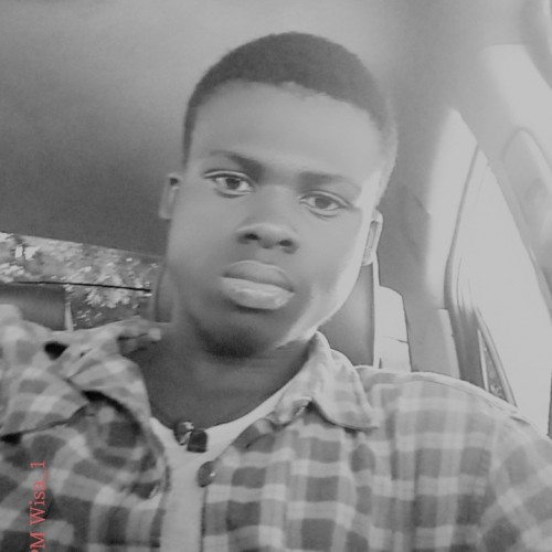 Emmanuel  L. profile photo