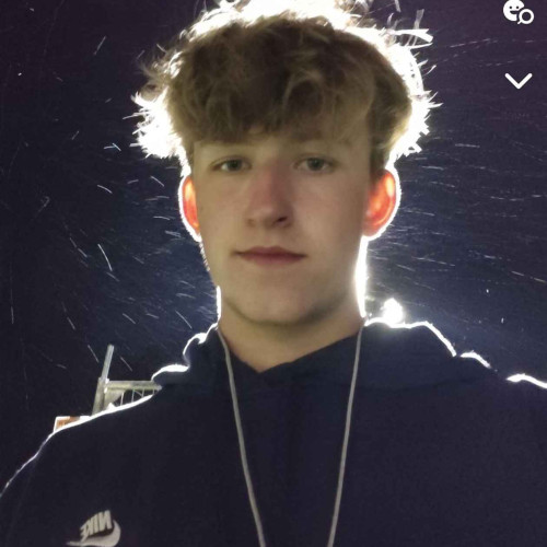Dominik P. profile photo