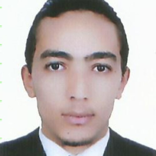 Hamza C.