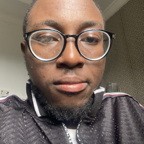 Ogundiyi O. profile photo
