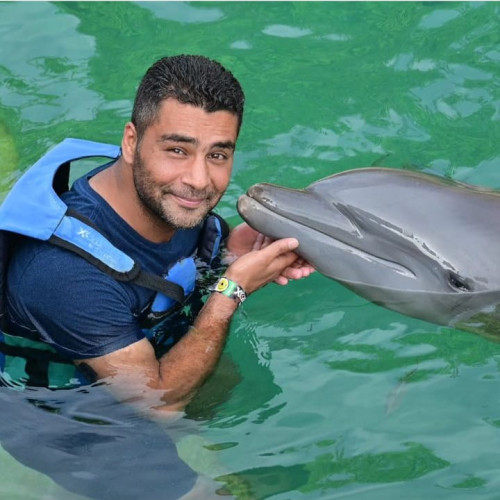 Ahmed M. profile photo