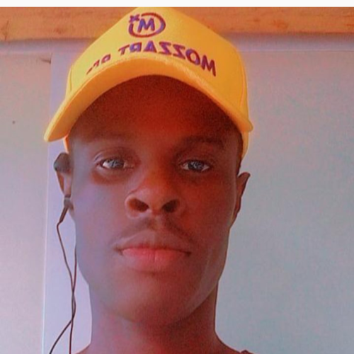 OYELAKIN  O. profile photo
