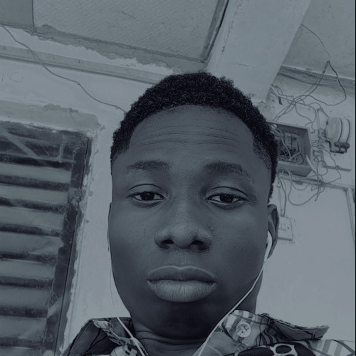 Toyeeb D. profile photo