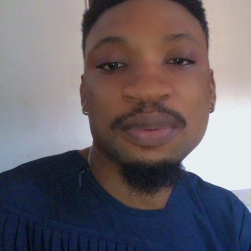 Oluwafemi  S. profile photo