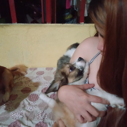 Quennie O.