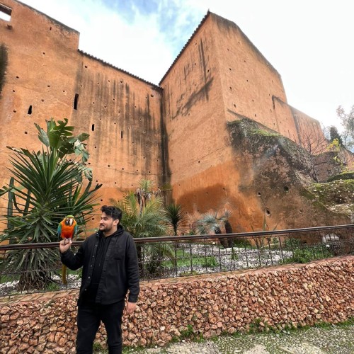 souhail b. profile photo