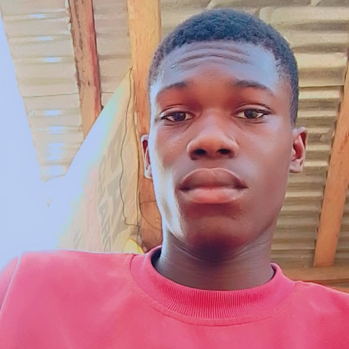 Sunday  C. profile photo