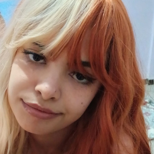 Nesslait  N. profile photo