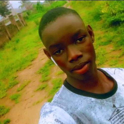 Bolu J.
