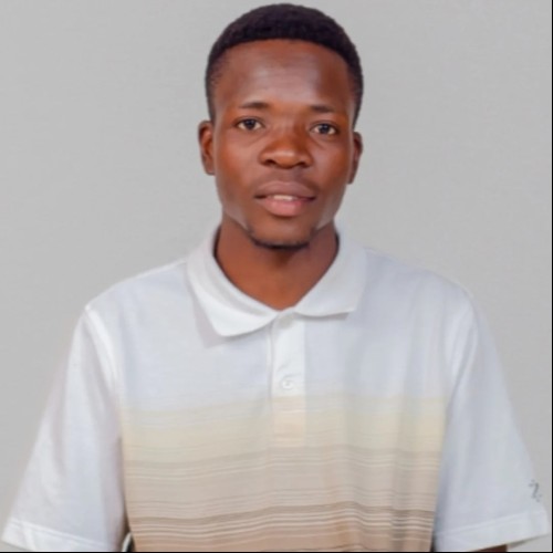 Tafadzwa  D. profile photo