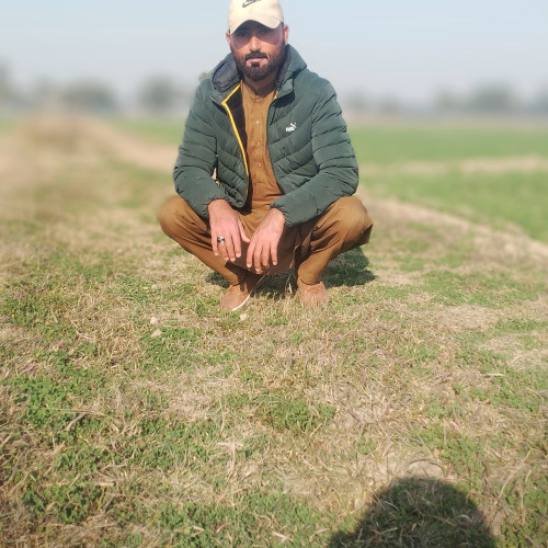 Farrukh  Z. profile photo