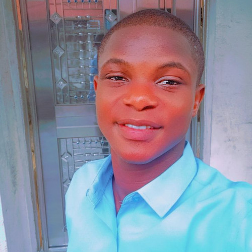 Olalekan  O. profile photo