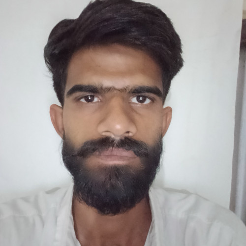 Shakti  P. profile photo