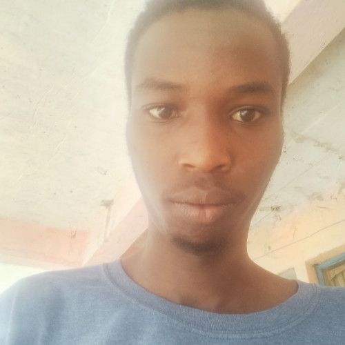 Elvis M. profile photo