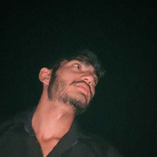 Raj C.