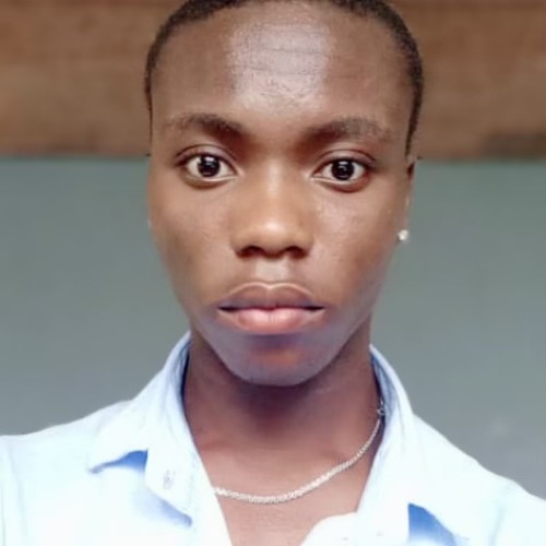 Light K. profile photo