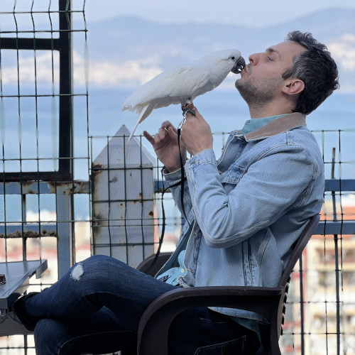 Joe H. profile photo