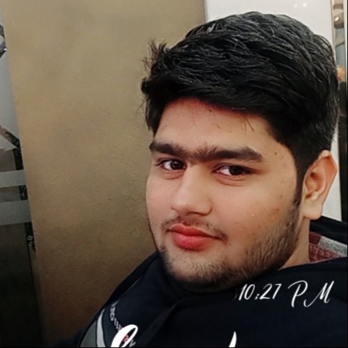 Aditya M.
