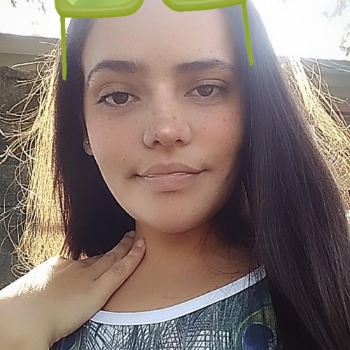 shai s. profile photo